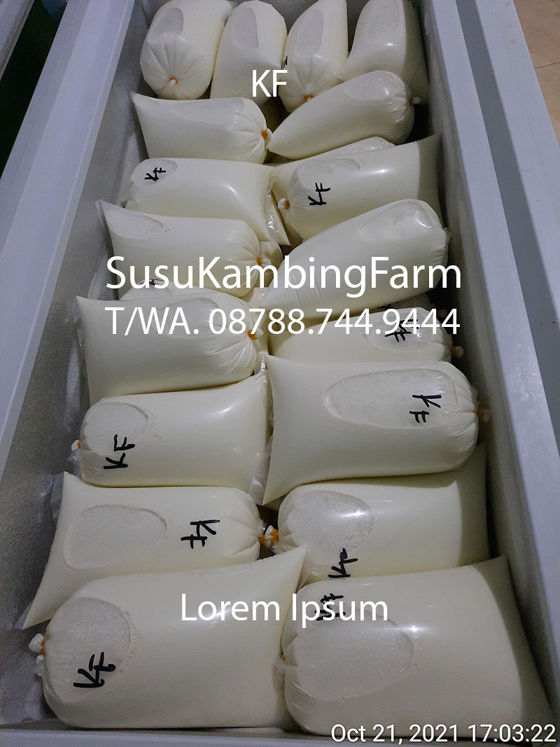 Susu KambingFarm